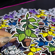 Cargar imagen en el visor de la galería, Sticker Plantas Curativas | Resident Evil |
