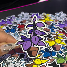 Cargar imagen en el visor de la galería, Sticker Plantas Curativas | Resident Evil |
