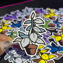 Cargar imagen en el visor de la galería, Sticker Plantas Curativas | Resident Evil |
